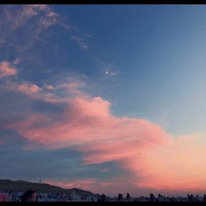 Meet your Posher, Bella